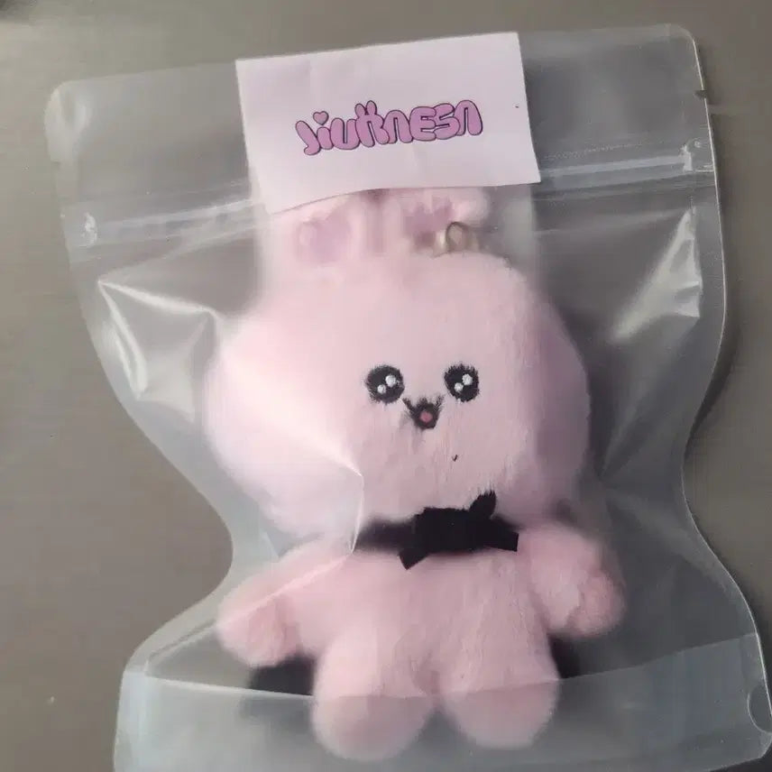 [BUNJANG] Dreamcatcher Jiu Jurensa Doll Sealed / [미개봉] 드림캐쳐 지유 쥬래사 인형