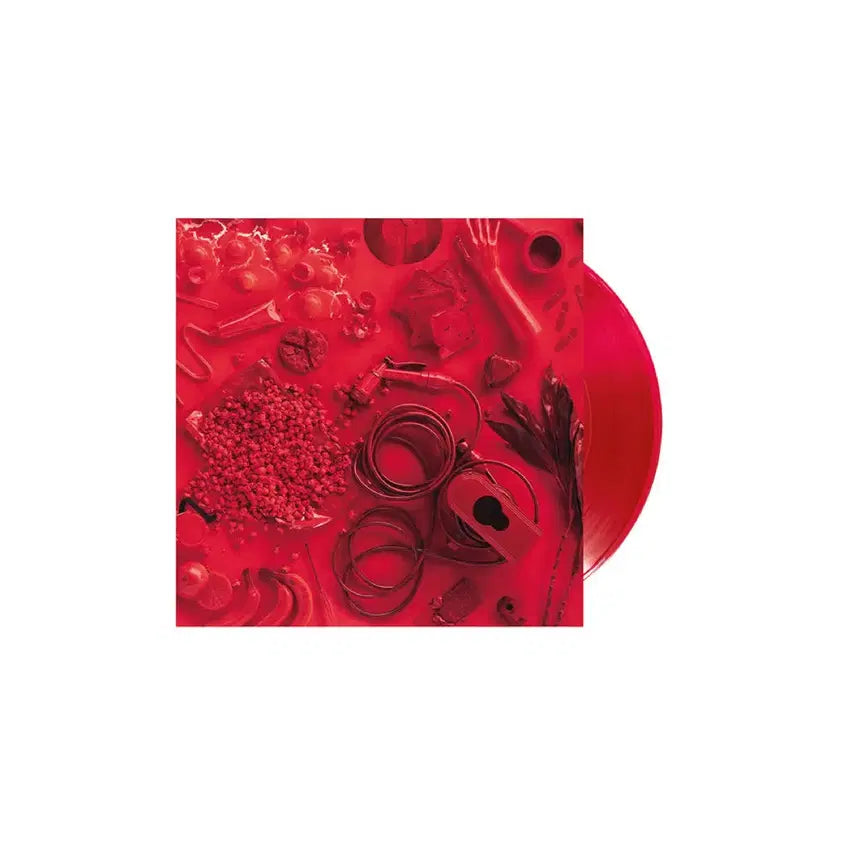 [BUNJANG] Aimyon 1st Album LP / 아이묭 1집 lp 판매합니다