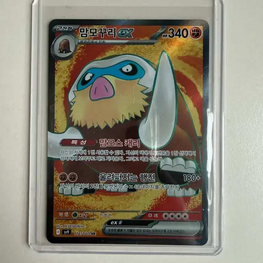 [BUNJANG] Pokemon Card Mamoswine ex SR / 포켓몬카드 맘모꾸리ex SR