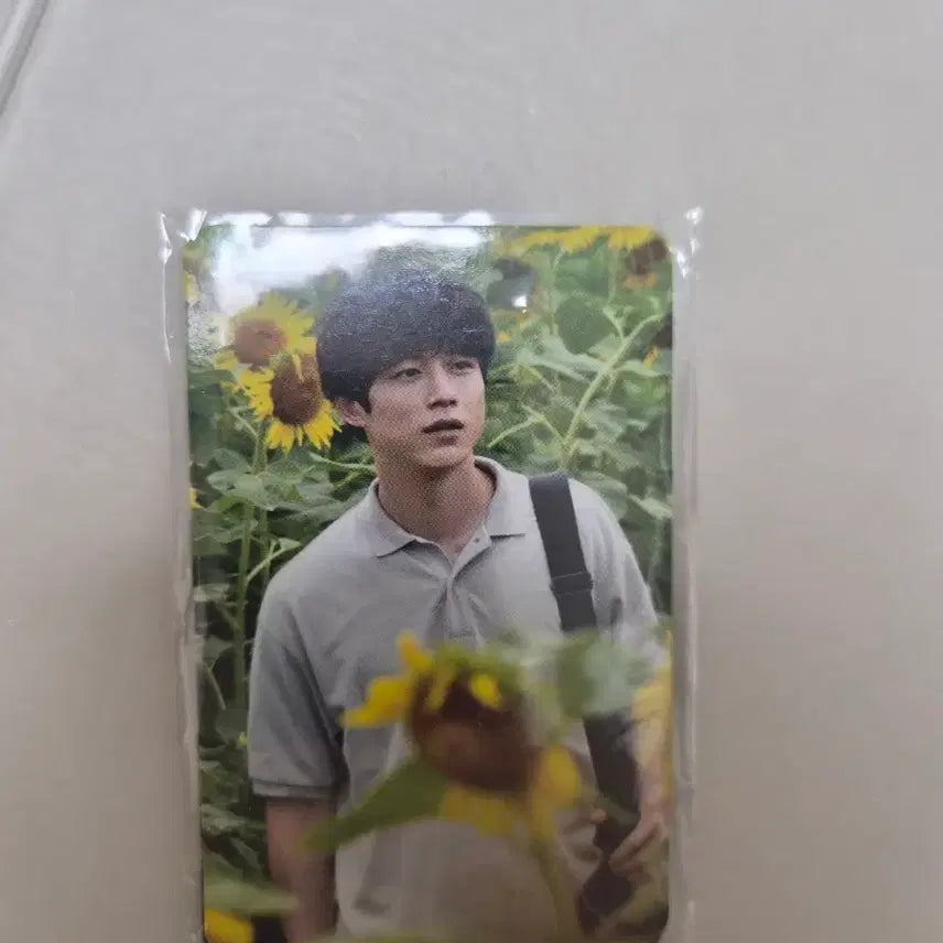 [BUNJANG] Kentaro Sakaguchi 3 Types Photocard Set / 사카구치켄타로 포토카드 3종