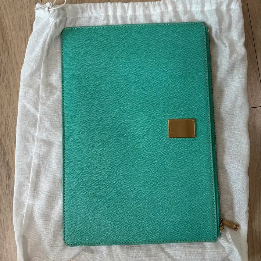 [BUNJANG] Couronne Mint Leather Clutch Bag with Gold Logo / 쿠론 클러치 판매합니다 상태좋아요