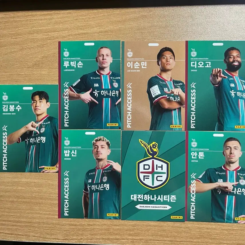 [BUNJANG] K League Panini Daejeon Hana Citizen FC Trading Cards / K리그 파니니 대전하나시티즌 카드 판매