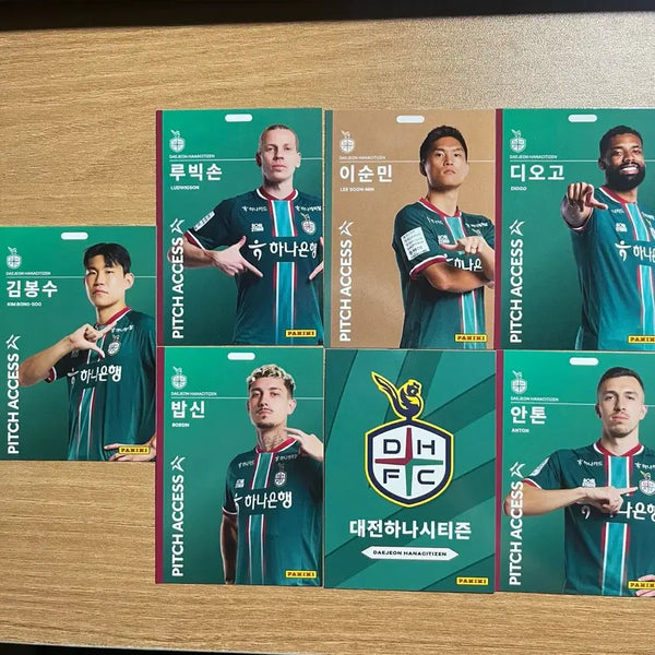 [BUNJANG] K League Panini Daejeon Hana Citizen FC Trading Cards / K리그 파니니 대전하나시티즌 카드 판매