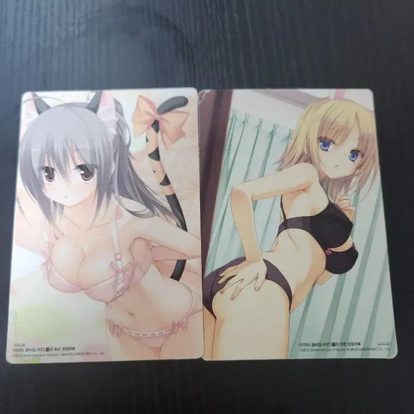 [BUNJANG] Is This a Zombie? Volume 11 Bonus Set / 이것이 좀비입니까? 11권특전 부록 일괄로 팝니다