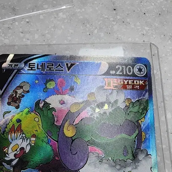 [BUNJANG] Pokemon Card Tornadus Special Edition / 포켓몬카드 토네로스 특일