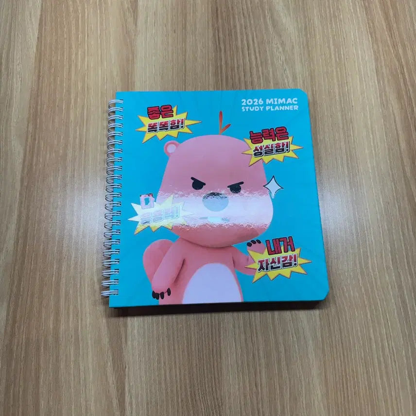 [BUNJANG] Daesung MyMac Luffy Study Planner / 대성마이맥 루피 스터디 플래너