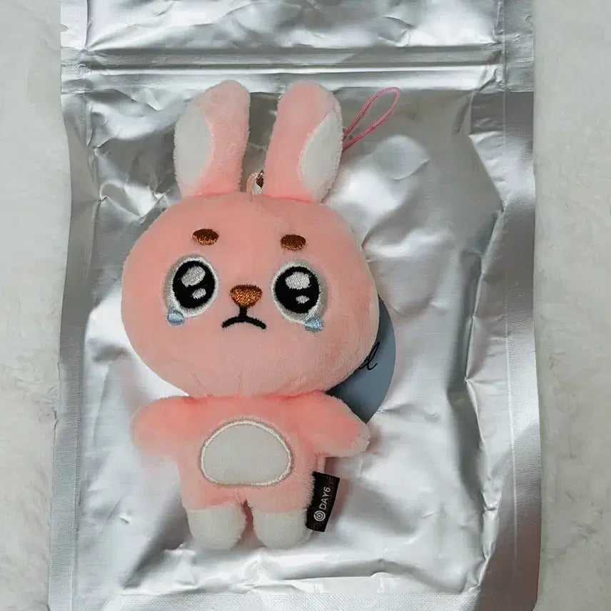 [BUNJANG] Day6 Wonpil Unfiltered Fil-kki Ppueng-pil Doll Keychain / 언필터드 필끼 뿌엥필 인형 키링 양도 데이식스 원필