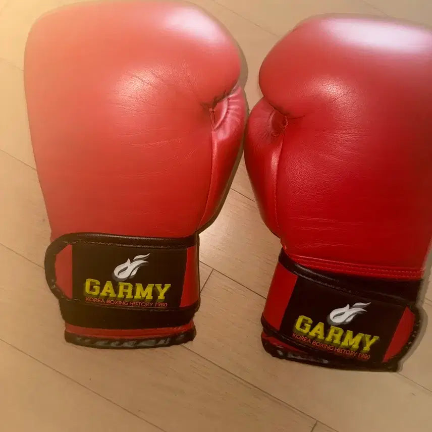 [BUNJANG] Kami Boxing Gloves / 가미 복싱 글러브