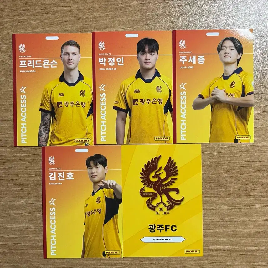 [BUNJANG] K League Gwangju FC Panini Trading Cards / K리그 파니니 광주FC 카드 판매