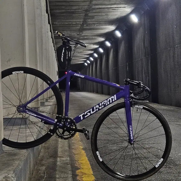 [BUNJANG] Tsunami Vanza Track Bike Frame Set - Size S / 쓰나미 반차