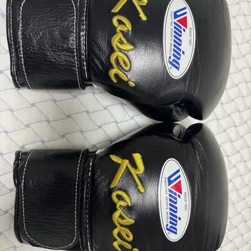 [BUNJANG] Winning Custom Gloves 8oz / 위닝 커스터 글러브 8oz 판매합니다