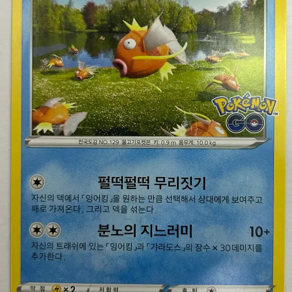 [BUNJANG] Pokemon Go Magikarp Trading Card / 잉어킹 포켓몬고 카드 판매합니다. A-1