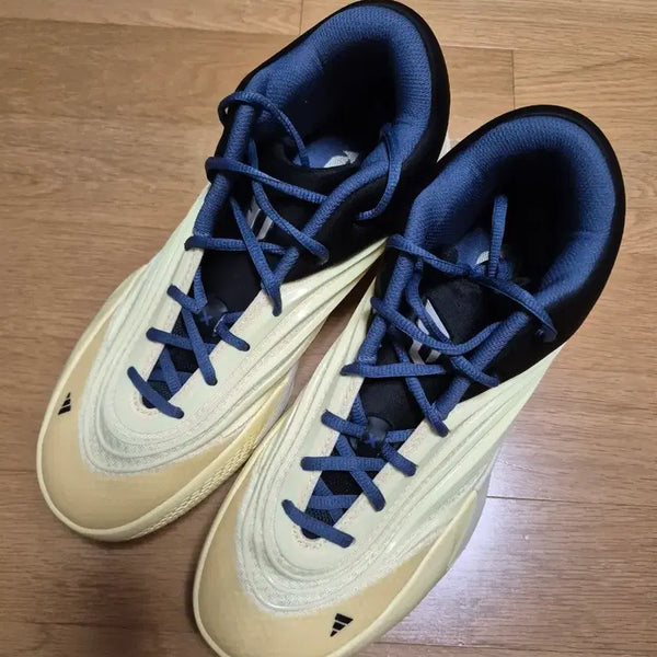 [BUNJANG] Adidas Dame X Damian Lillard Basketball Shoes / 아디다스 데임X 팝니다
