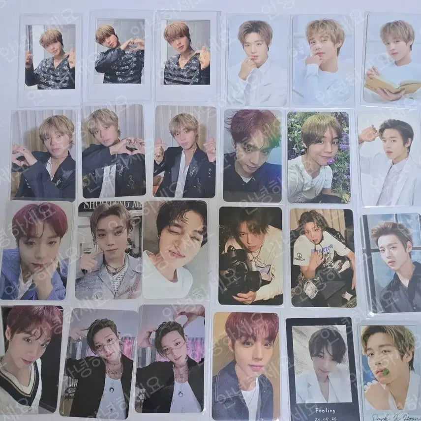 [BUNJANG] Park Jihoon Album Photocard Bundle Set (POB, Advertisement Photocards) / 박지훈 앨범 포카 미공포및 광고포카 일괄양도