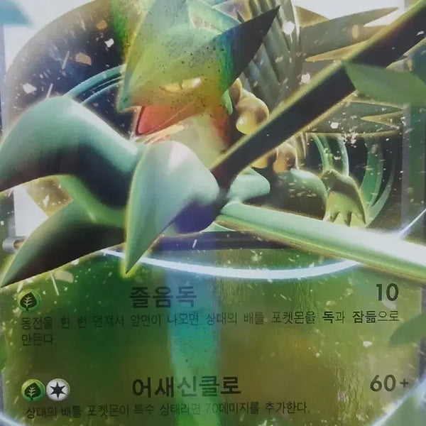 [BUNJANG] Pokemon TCG - Treecko EX / 포켓몬 카드 나무킹 EX