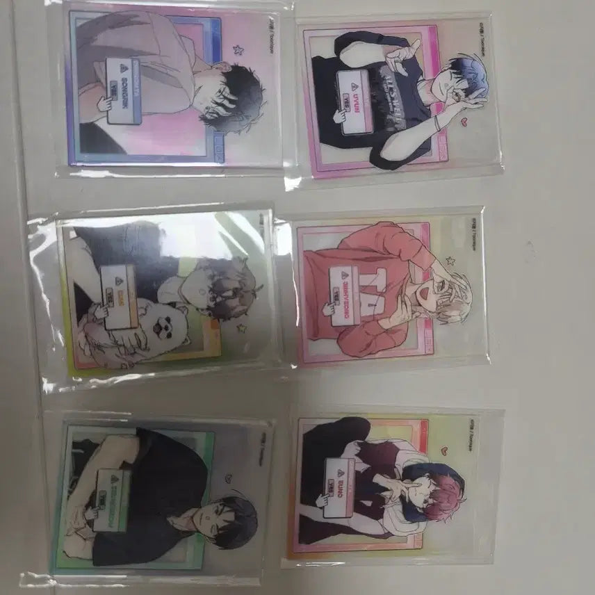 [BUNJANG] One Room Assistant Acrylic Card Set / 원룸조교님 아크릴카드 6종