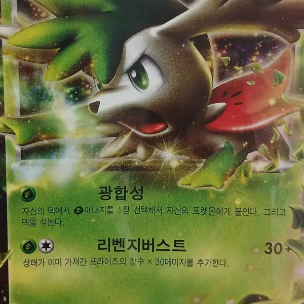 [BUNJANG] Pokémon Card Shaymin EX / 포켓몬 카드 쉐이미 EX