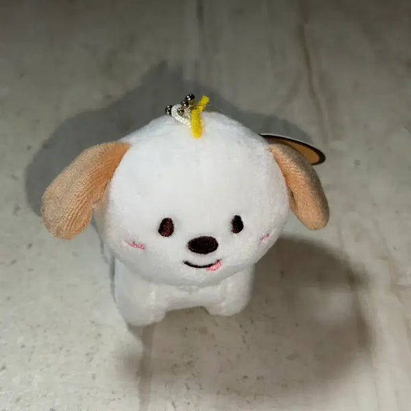 [BUNJANG] RIIZE Anton Myungryong 1st Gen Doll / 멍룡이 1기 라이즈 앤톤 인형