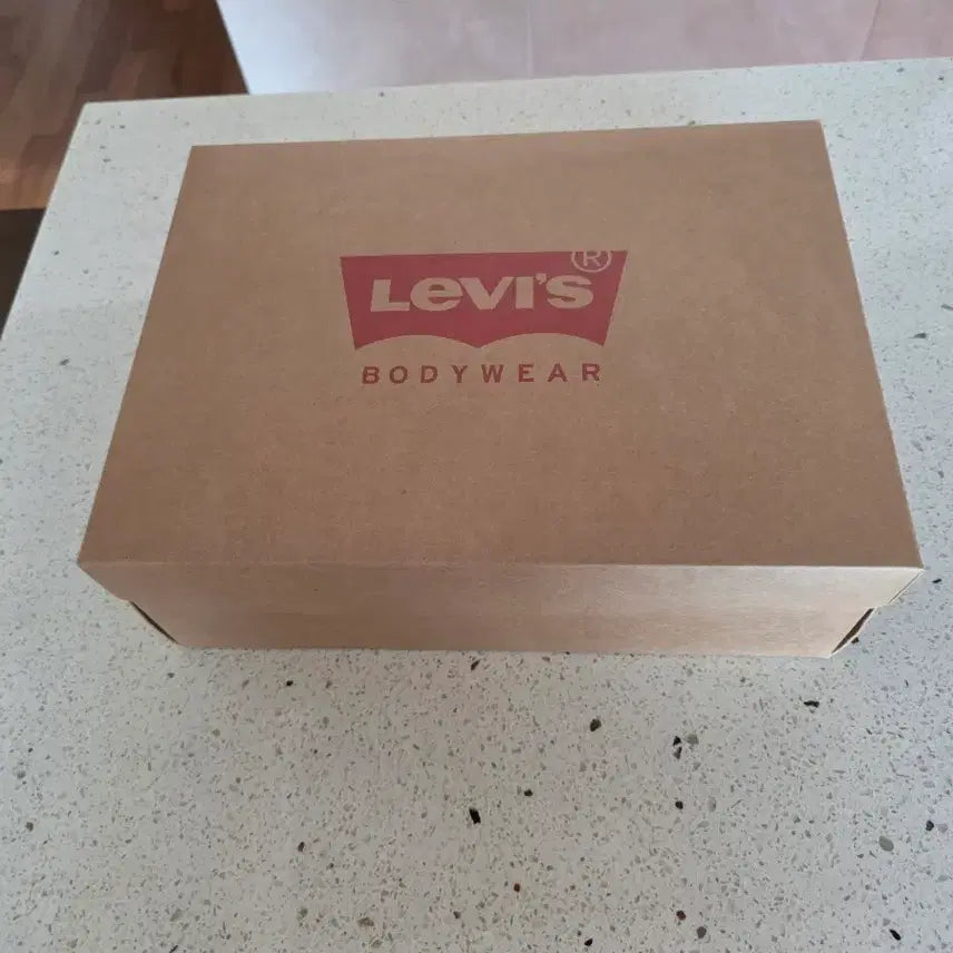 [BUNJANG] Levi's Bra and Panty 4 Set / 리바이스 브라팬티4세트
