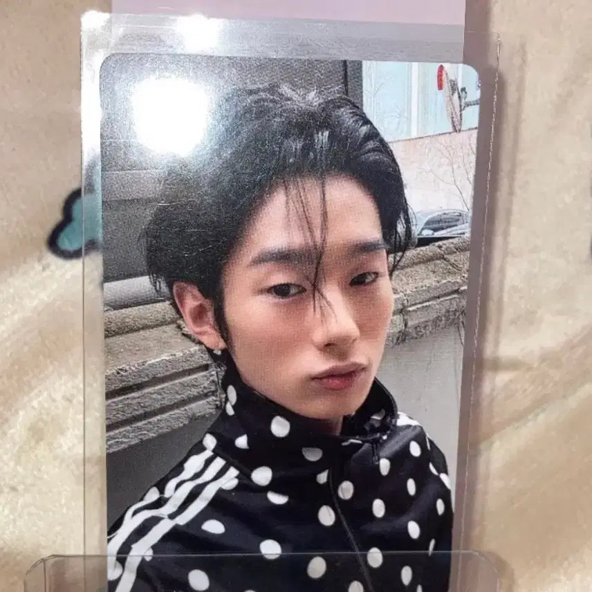 [BUNJANG] Now I'm Young Namyoung Photocard / 나우아임영 나암영 포토카드 포카 판매합니다