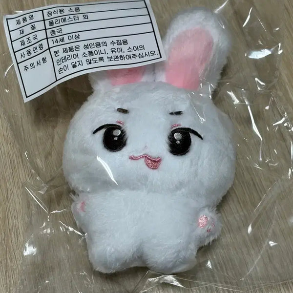 [BUNJANG] Choi Ripwoo Rabbit Doll - Sealed / (미개봉) 최립우 토끼 인형 판매