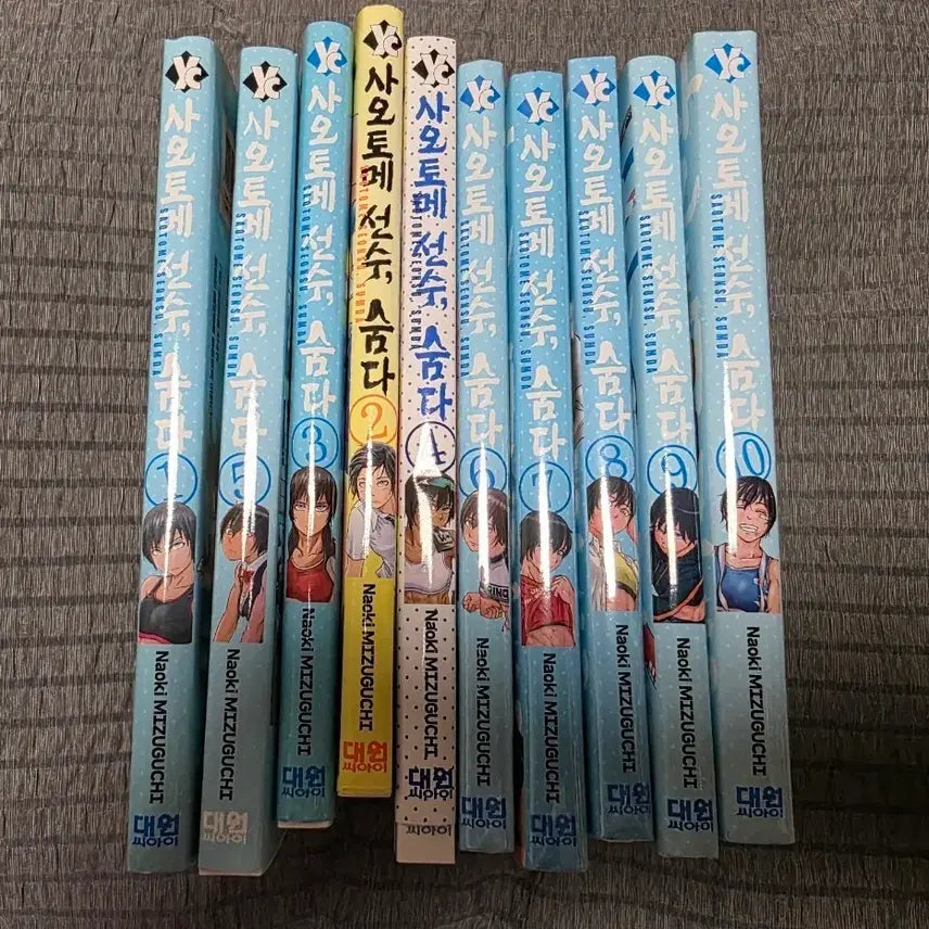 [BUNJANG] Saotome, I'm Hiding! Complete Manga Set (Volumes 1-10) / 사오토메 선수, 숨다 만화 전권 (1-10권)