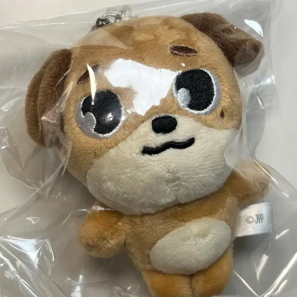 [BUNJANG] Day6 Japan MD Bag Charm / 데이식스 일본 md 백참 돈 양도