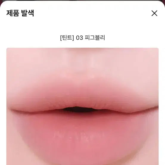 [BUNJANG] Colorgram Nudy Blur Tint (Shades 03 & 09) Bundle / [새상품] 컬러그램 누디 블러 틴트 03호, 09호 일괄구매