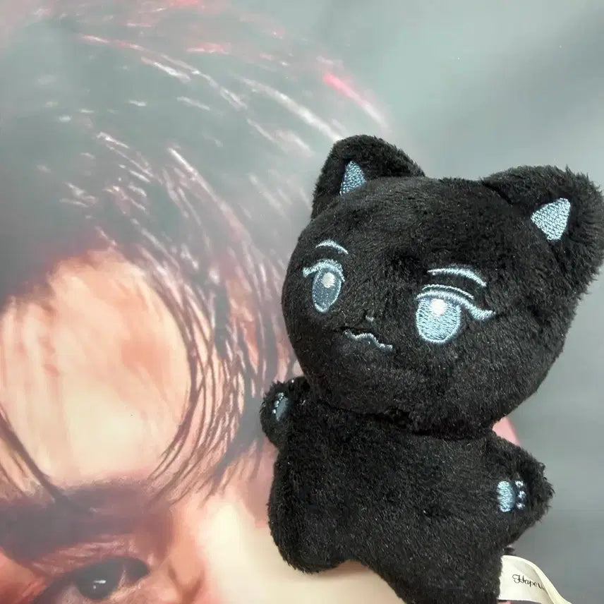 [BUNJANG] ZB1 Kim Ji Woong Slogan & Kkamungnyang Doll Bundle Set / 제베원 김지웅 슬로건 + 깜웅냥 인형 일괄 양도