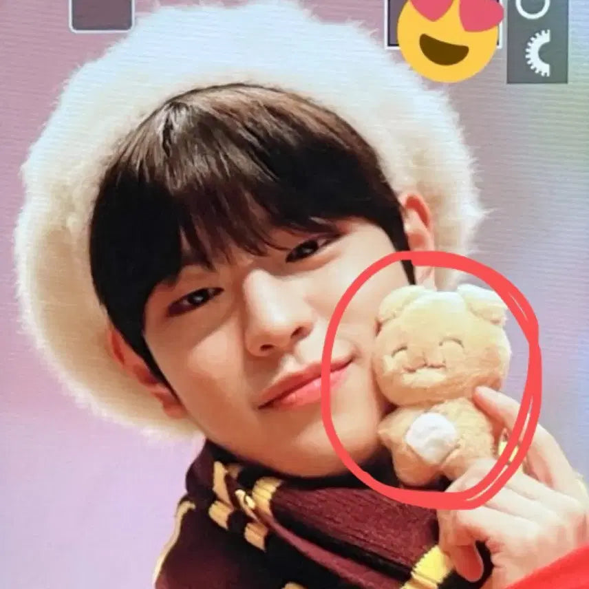 [BUNJANG] Stray Kids Seungmin Daengmo Doll / 스트레이키즈 승민 댕모 팝니다