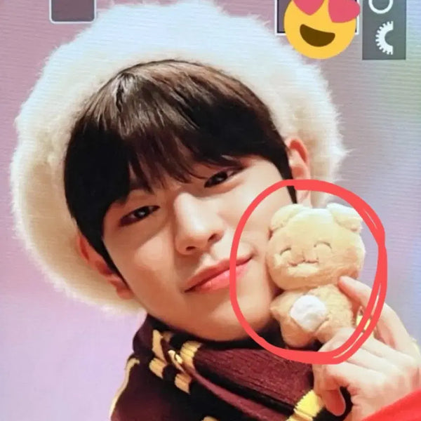 [BUNJANG] Stray Kids Seungmin Daengmo Doll / 스트레이키즈 승민 댕모 팝니다