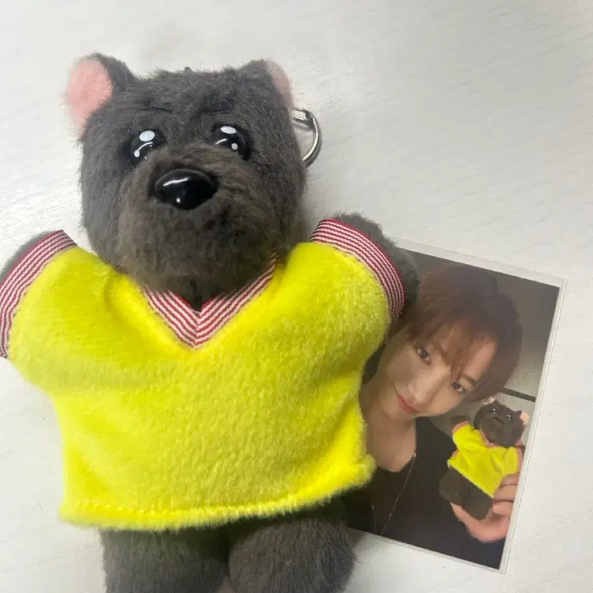 [BUNJANG] Bundle Set Photocard / 쁘넥도 명명이 판매