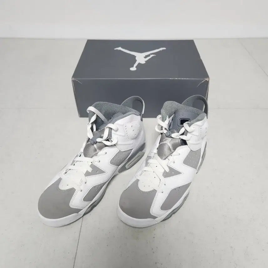 [BUNJANG] Nike Air Jordan 6 Retro Cool Grey / 나이키 에어조던6 레트로(쿨그레이 290)