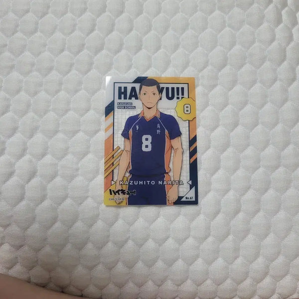 [BUNJANG] Haikyuu!! Blue Lock Photocard Set / 하이큐, 블루록 포카