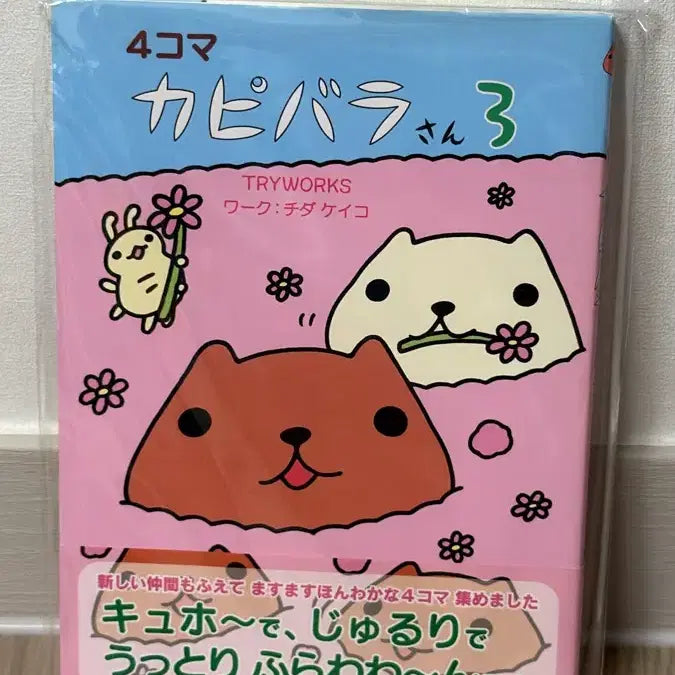 [BUNJANG] Capybara Book / 오늘만할인)카피바라상 책