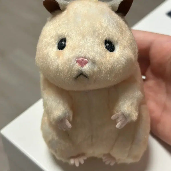 [BUNJANG] Skerokko's Daily Life Skerokko Keychain Sung Hanbin Zerobaseone Ddoongjjoonghaem Doll / 스케로쿠의 일상 스케로쿠 키링 제베원 성한빈 뚱쭝햄 인형