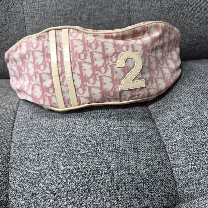 [BUNJANG] Dior Canvas Bumbag / 디올 범백 팝니다