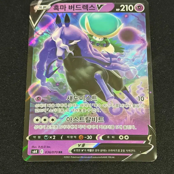 [BUNJANG] Pokemon Card Spectrier V / 포켓몬 카드 흑마 버드렉스 V
