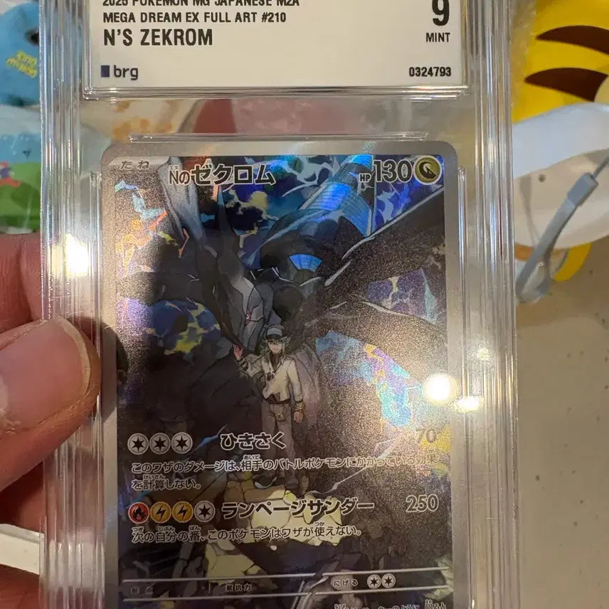 [BUNJANG] Pokemon Card N's Zekrom Full Art Japanese Card / 포켓몬카드 N의제크로무 일판 brg9