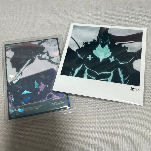 [BUNJANG] Solo Leveling Igneid Bundle Set Polaroid Postcards & Photocards / 일괄) 나혼렙 이그리트 폴라로이드 엽서 포토카드 나혼자만레벨업