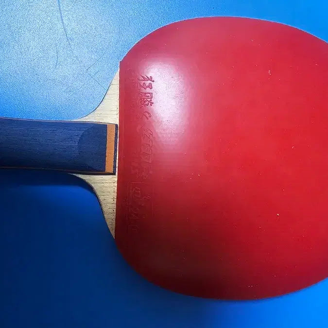 [BUNJANG] Butterfly Timo Boll Spirit Table Tennis Racket / 버터플라이 티모볼 스피릿 탁구 라켓