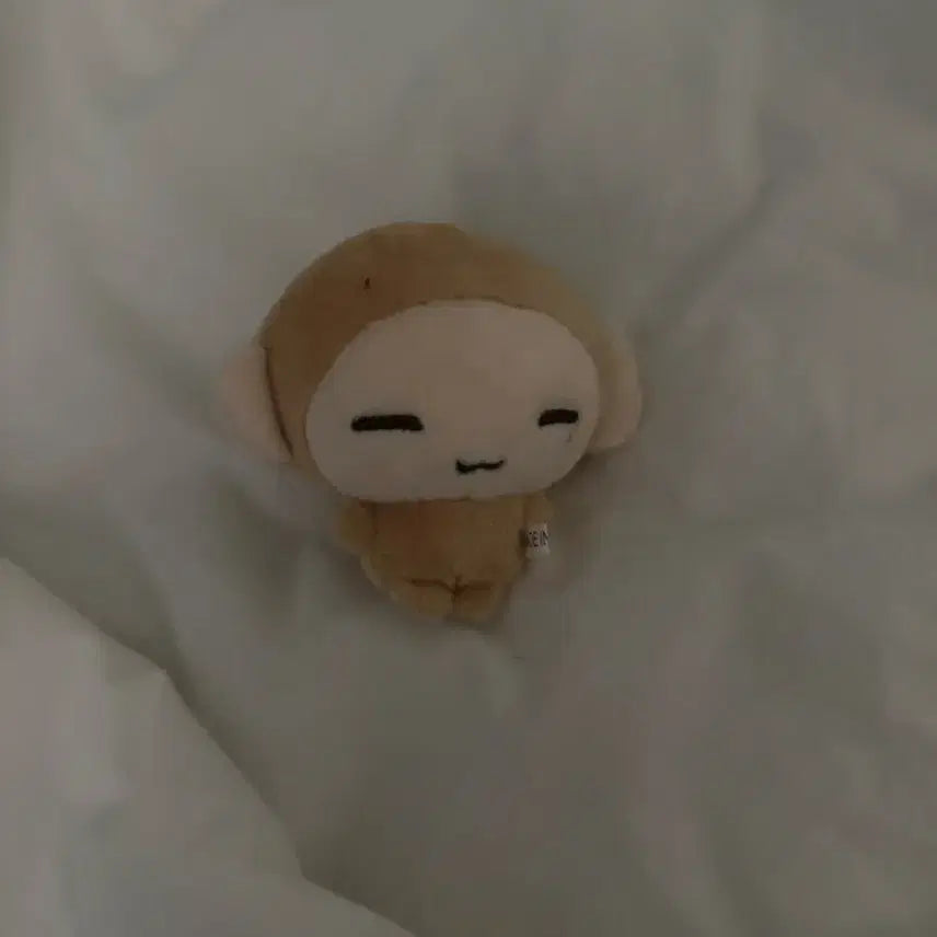 [BUNJANG] BOYNEXTDOOR Ri-ki Plush Doll / 보넥도 링끼끼 인형