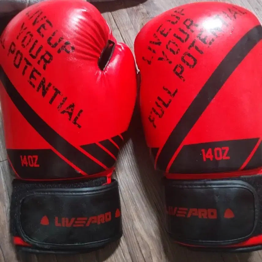 [BUNJANG] LIVEPRO 14oz Boxing Gloves / LIVEPRO  복싱글러브 14온스