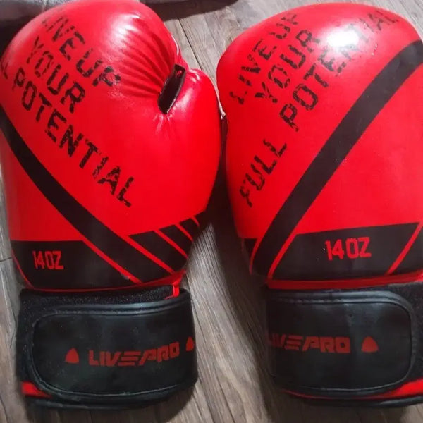 [BUNJANG] LIVEPRO 14oz Boxing Gloves / LIVEPRO  복싱글러브 14온스