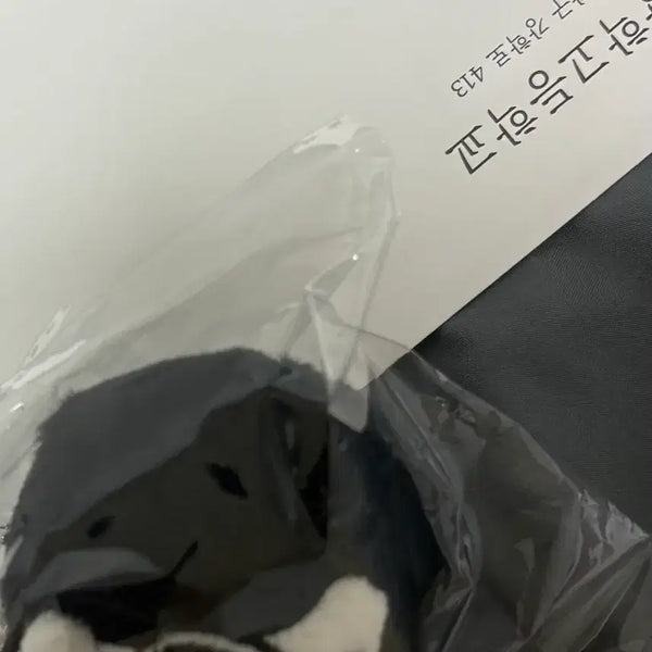 [BUNJANG] Weak Hero Class 1 Eun-gyeol Lee Plush Doll / 약한영웅 금성제 인형 성제띠니