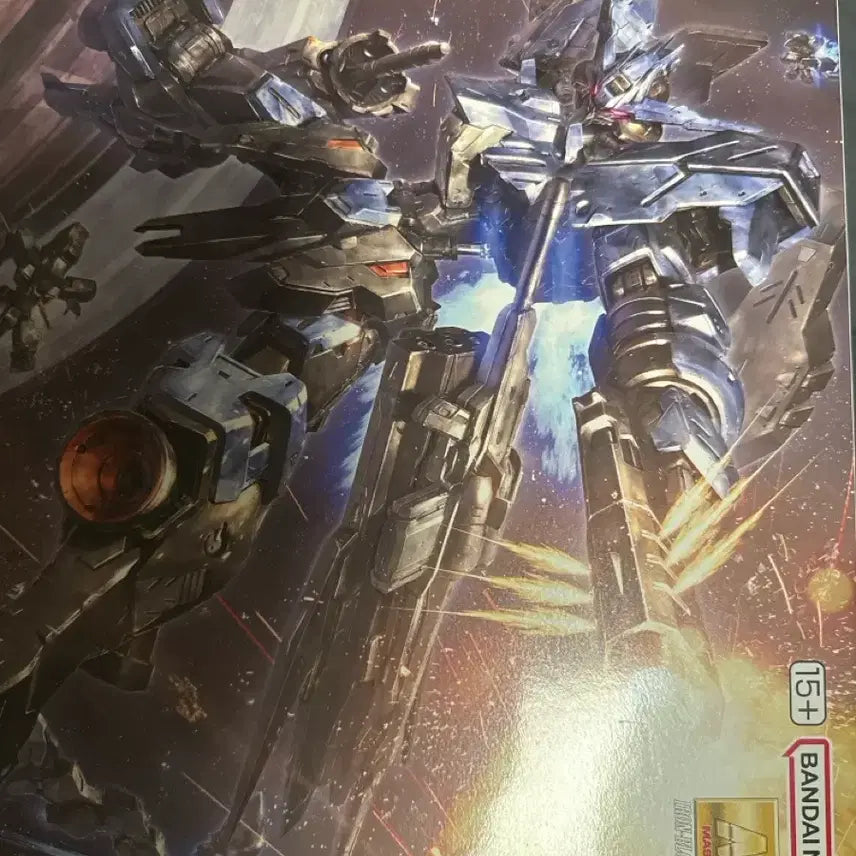 [BUNJANG] Bandai MG 1/100 Vidar / MG 비다르 팝니다