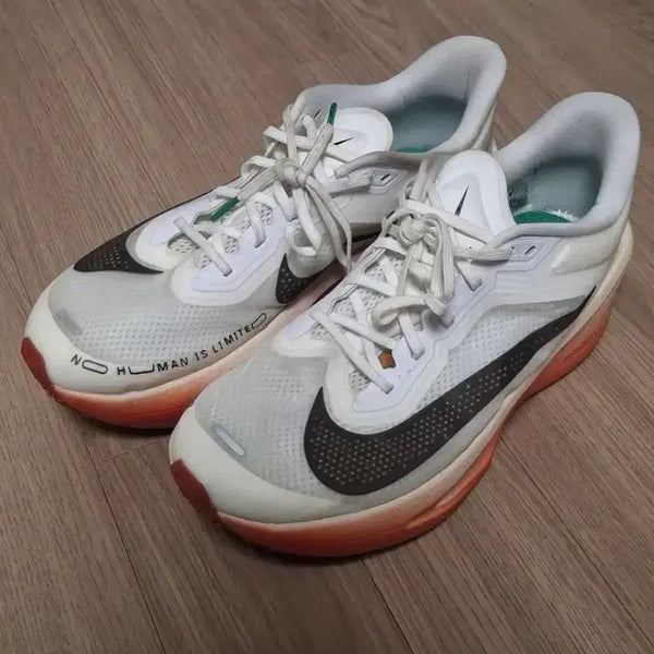 [BUNJANG] Nike Zoom Fly 6 Carbon Running Shoes / 나이키 줌플라이 카본화 판매