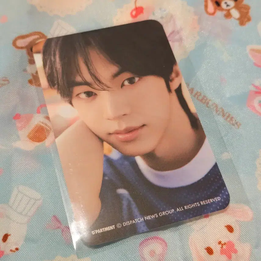 [BUNJANG] TWS DICON Popup Tokyo Photocard Dohoon / 투어스 디아이콘 팝업 도쿄 포카 판매 도훈