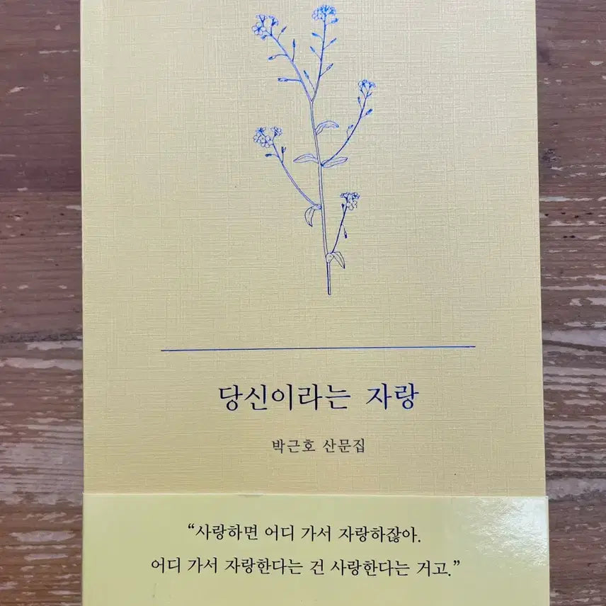[BUNJANG] Your Pride: Park Geun-ho Essay Collection / 당신이라는 자랑 : 박근호 산문집