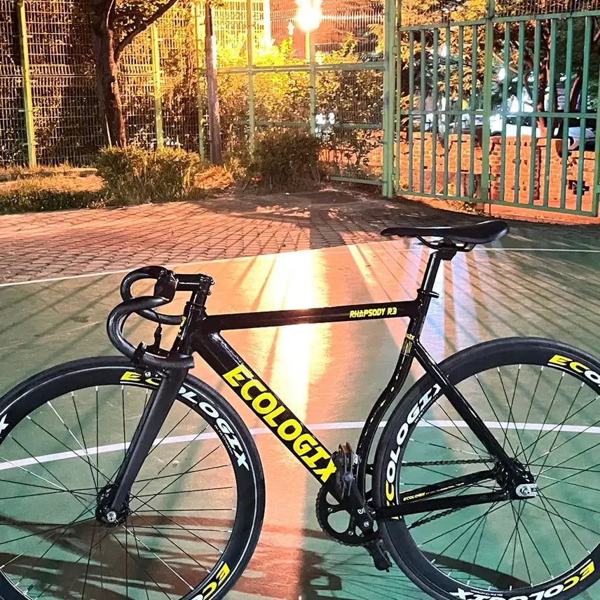 [BUNJANG] Ecologix Rhapsody R3 Frame/Set / 에콜로직스 랩소디 r3 판/대